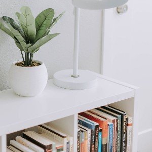 Bookshelf with plant and modern lamp