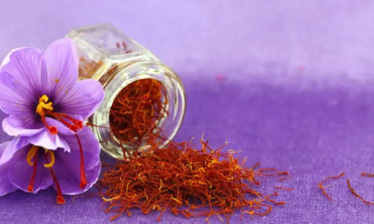 saffron anti aging properties (3)