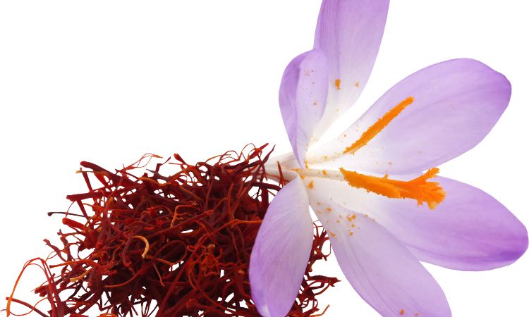 saffron-coloring-strength