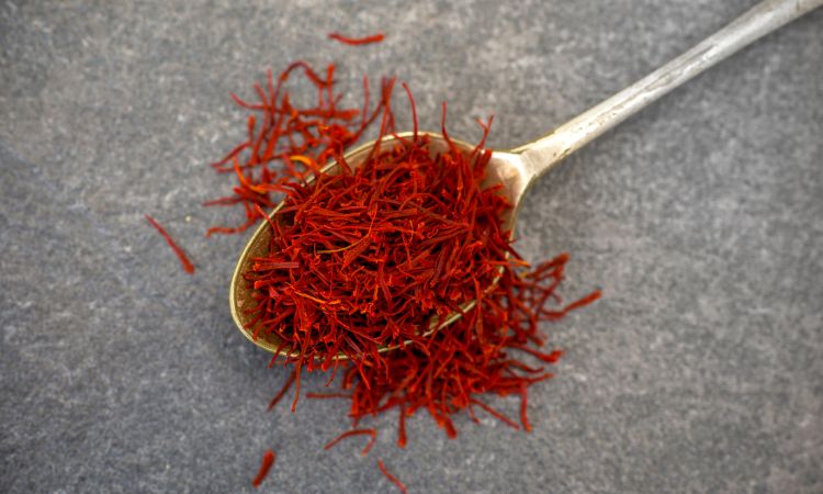 saffron-cultivation
