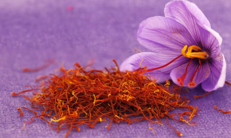 saffron-farming-profitability