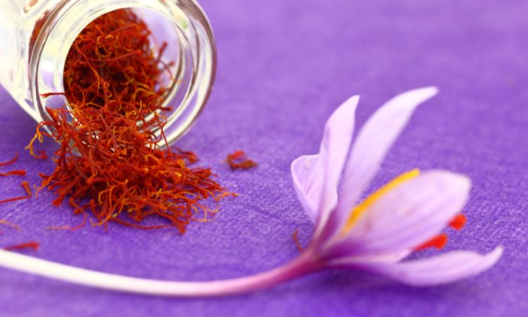 saffron-festivals