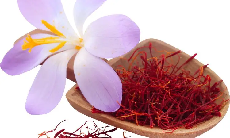 saffron-skin-benefits