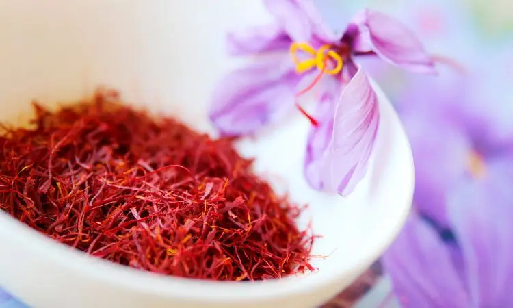 saffron-for-hair-care
