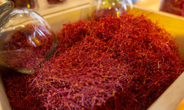 saffron-harvesting-methods