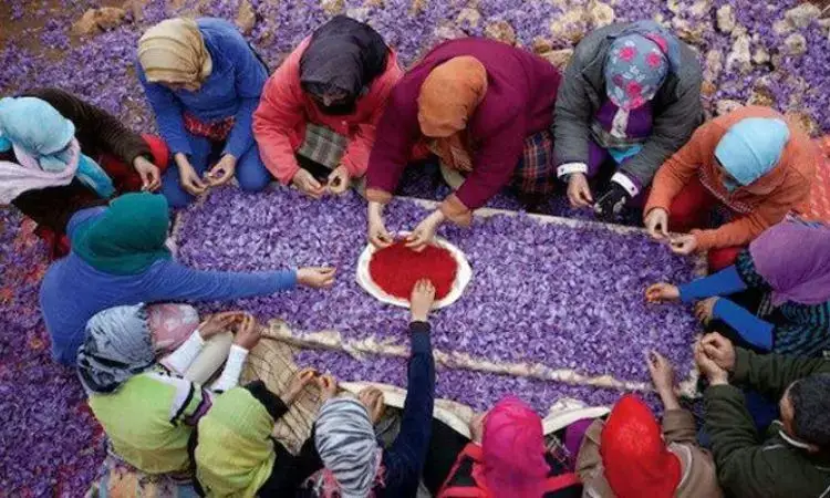 saffron-light-exposure