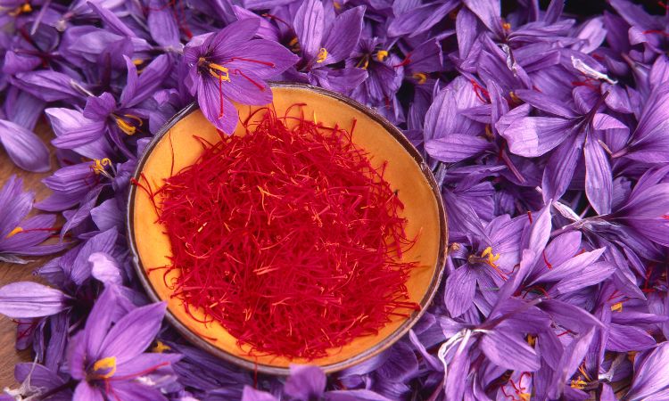 saffron-pain-relief