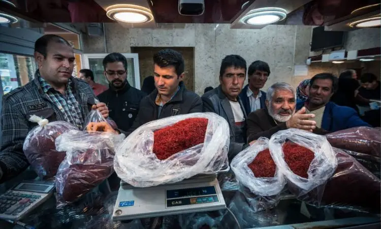 saffron-production-leaders