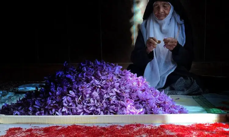 The myths and legends around saffron