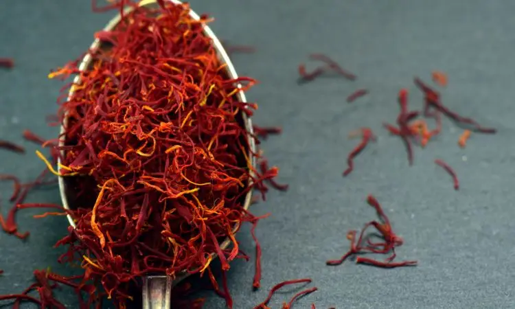 saffron-shelf-life