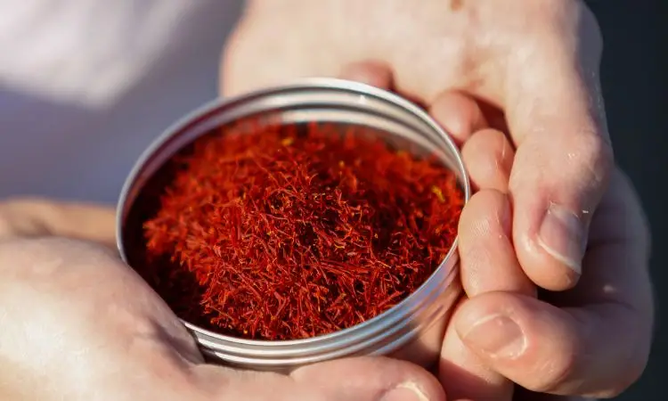 saffron-freshness-indicators