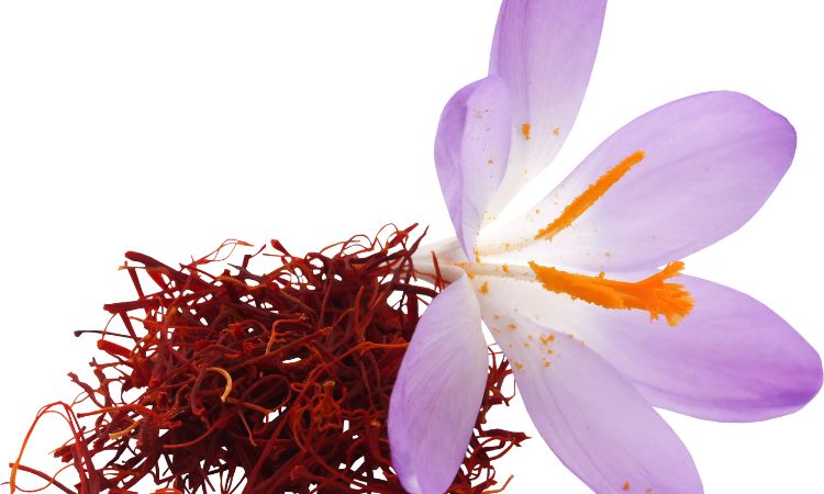 saffron-skincare-benefits