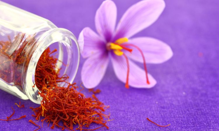 saffron-trade-history