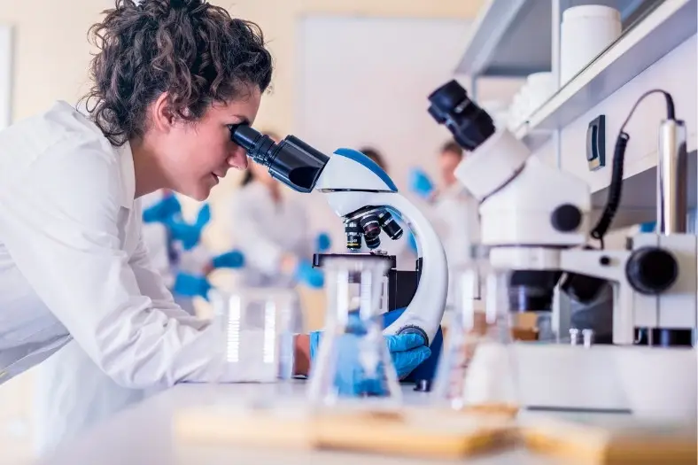 saffron research (1)