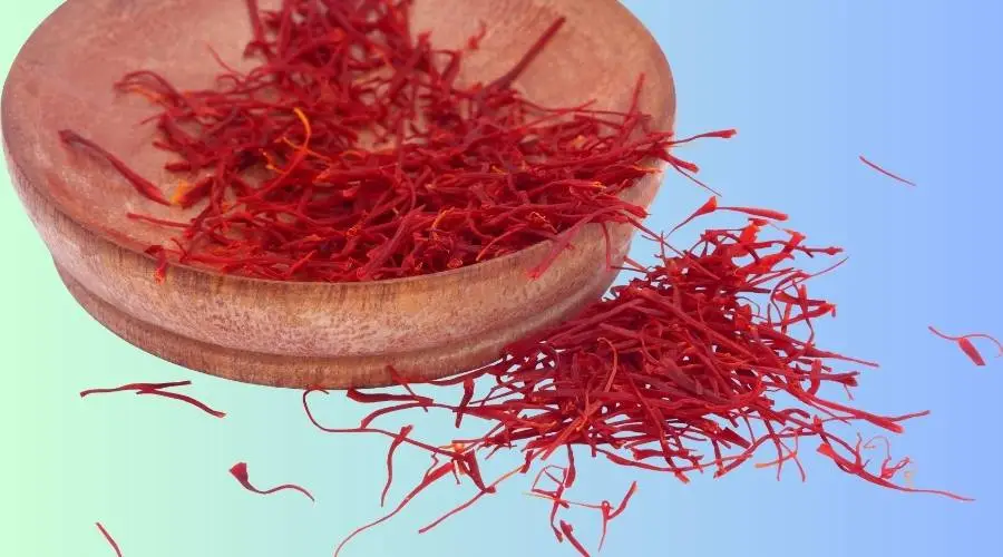 saffron ancient medicine