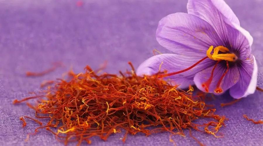 saffron-benefits-for-babies
