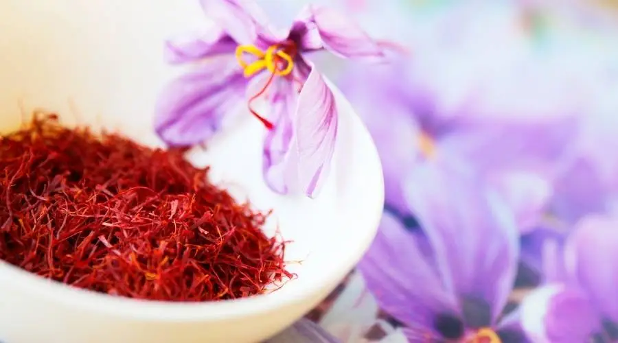 saffron-herb