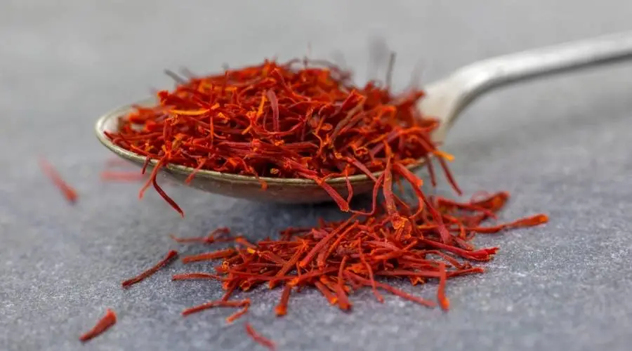 saffron-memory-benefits
