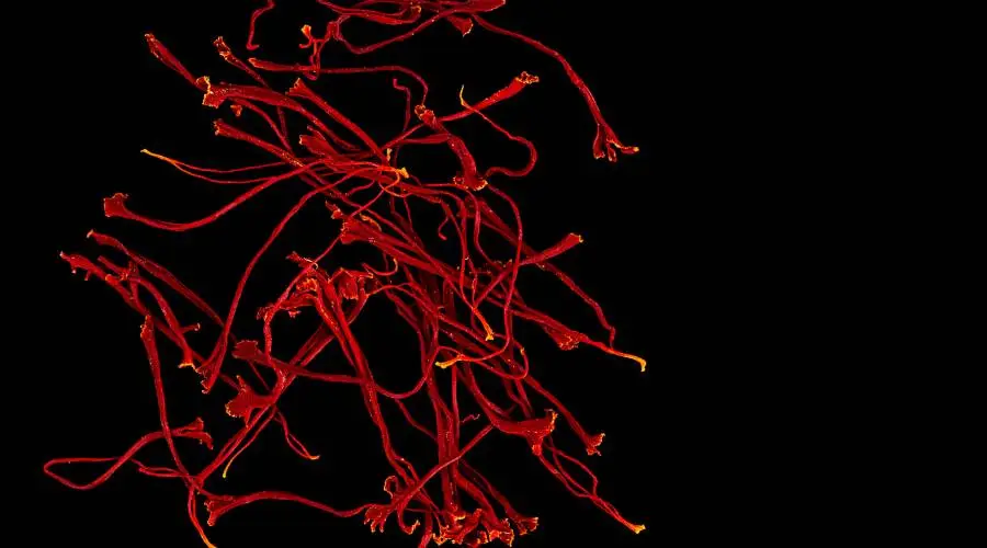 saffron-side-effects